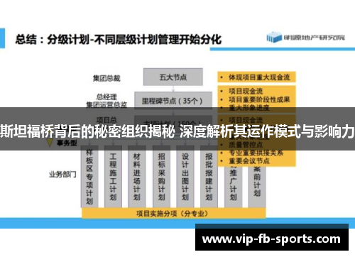 斯坦福桥背后的秘密组织揭秘 深度解析其运作模式与影响力